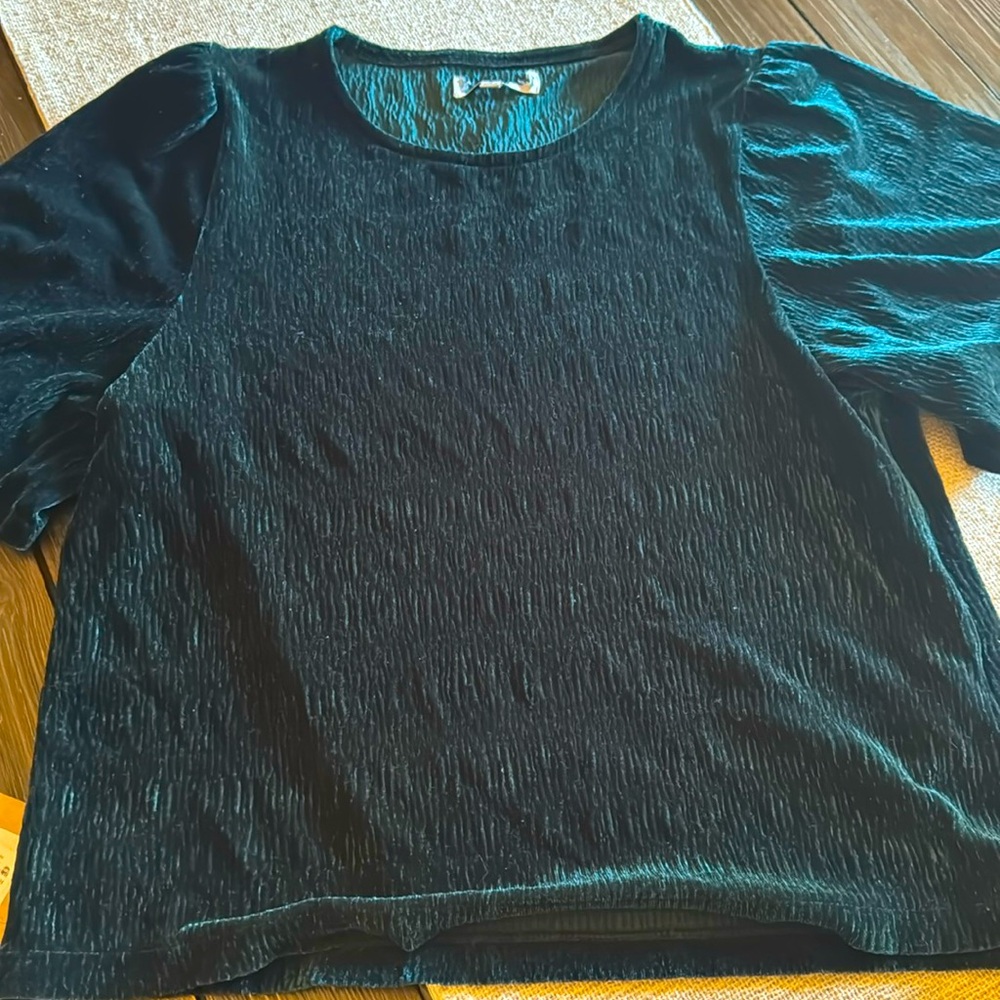 Madewell Green Crinkle Velvet Flutter Sleeve Top Size Medium Holiday🎄